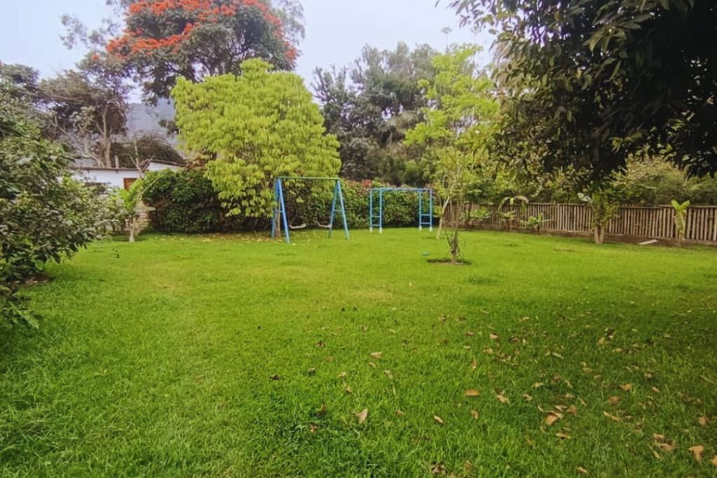 Jardín amplio de la casa vendida en Pachacámac