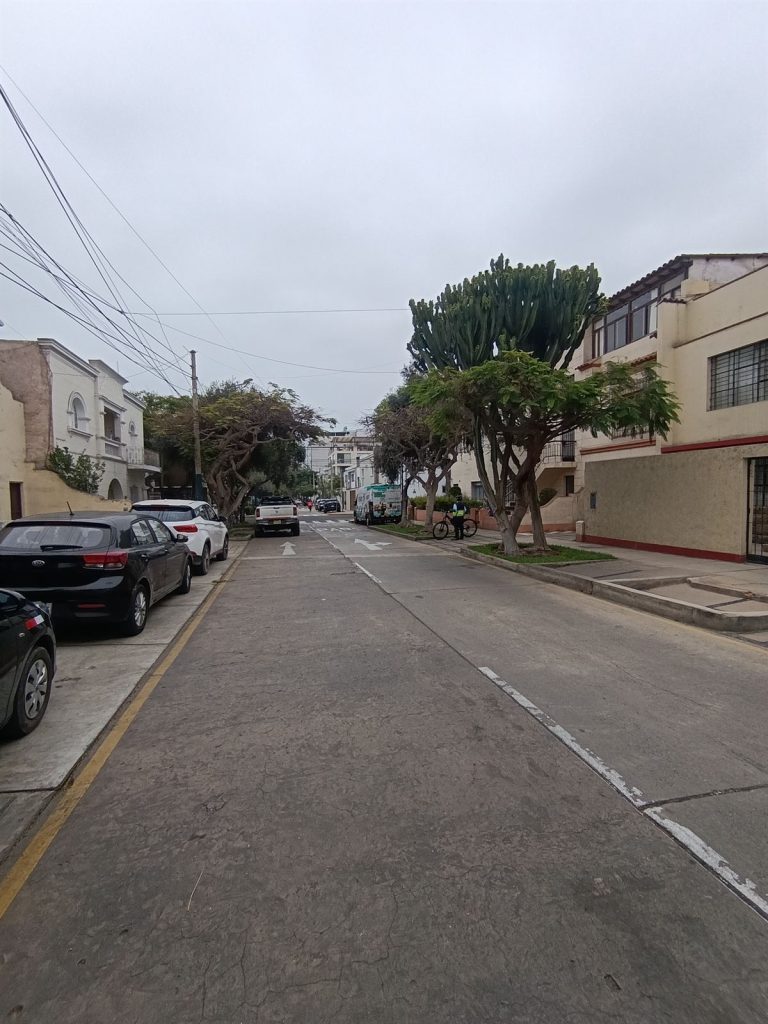 Calle Jr. Río de la Plata, San Isidro